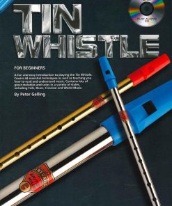 Tin Whistle for beginners (met CD)