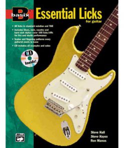 Basix Essential Licks for Guitar (Boek +cd)